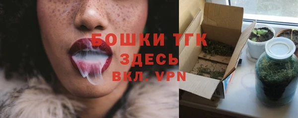 шишки Баксан