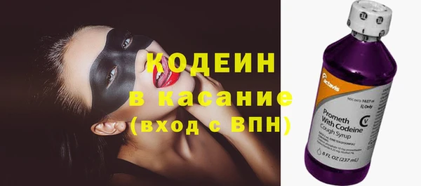 шишки Баксан