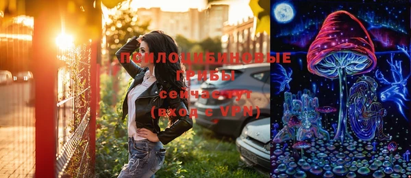 шишки Баксан