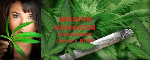 шишки Баксан